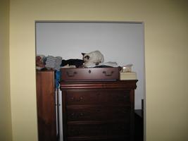 bedroom reno 2010